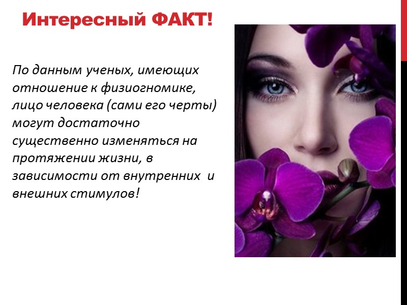 Интересный ФАКТ! По данным ученых, имеющих отношение к физиогномике, лицо человека (сами его черты)